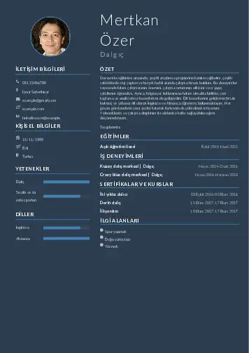 Dalgıç CV Örnekleri cv indir